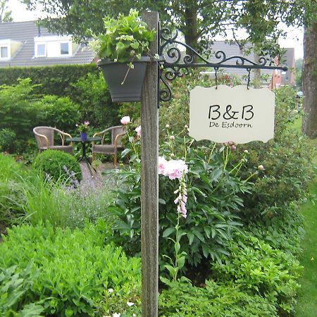 B&B De Esdoorn Norg Kültér fotó