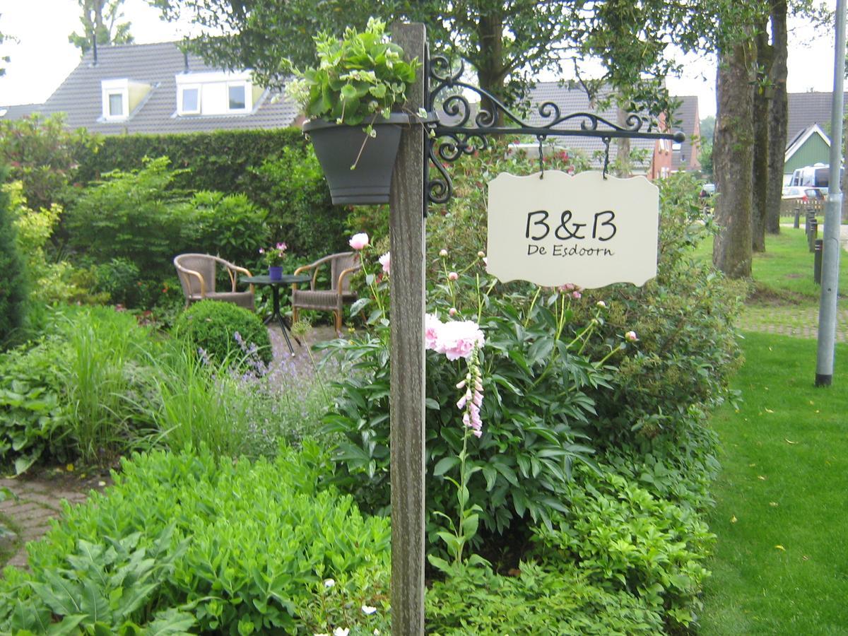 B&B De Esdoorn Norg Kültér fotó